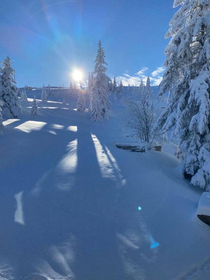Olimpik House Jahorina Villa Exterior photo